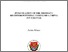 [thumbnail of Summary of the PhD thesis.pdf]